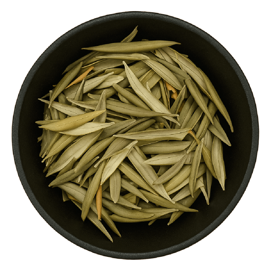 LA Herb – wholesale Herbs – Olive Leaf Whole (Olea Europaea)1