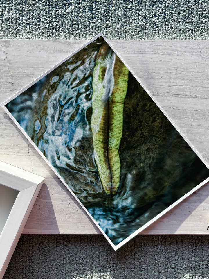 'Hyaloid' tropisk inspireret kunsttryk (kun print) for engroshandel hos art+drift