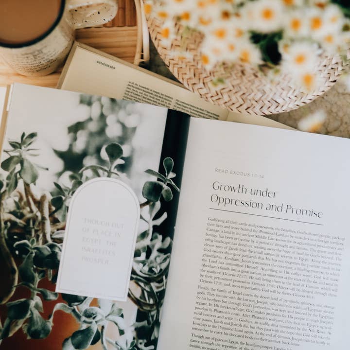 The Daily Grace Co - Wholesale Religion - Journey to Freedom | The Life of Moses3