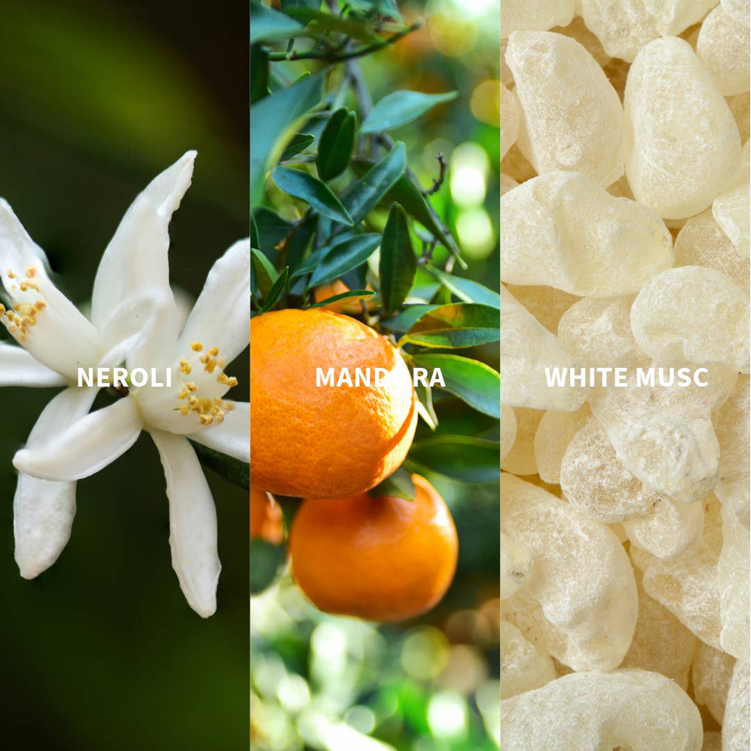 FiiLiT Parfum du voyage - Wholesale Perfume/Eau de Toilette - AMANTE ANDALUCIA Eau de Parfum1