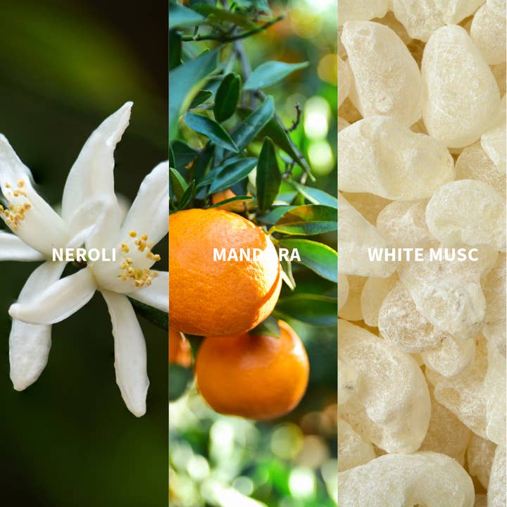 FiiLiT Parfum du voyage - Wholesale Perfume/Eau de Toilette - AMANTE ANDALUCIA Eau de Parfum1