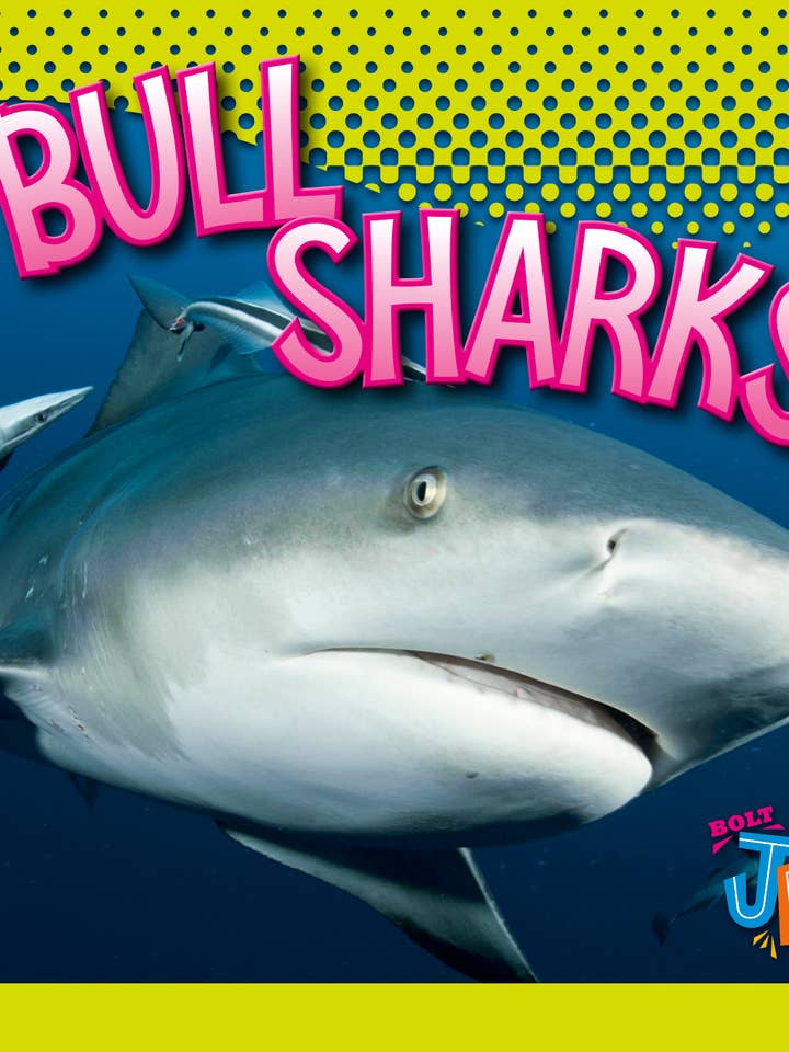 Il mondo degli squali: squali toro per la vendita all'ingrosso da parte di Black Rabbit Books
