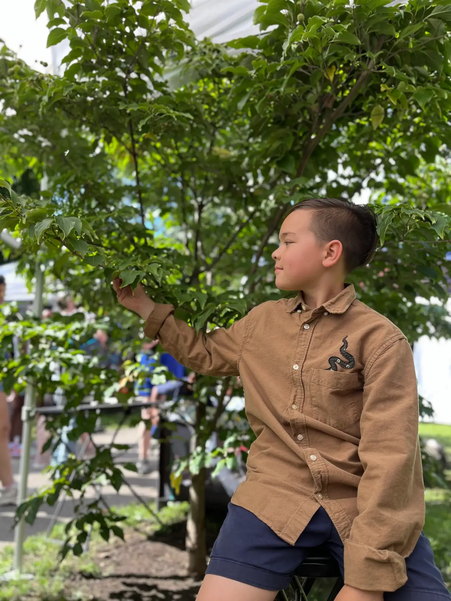 OTTO FINN - Venta al por mayor Parches - Parche Kantha Mediano para Planchar30