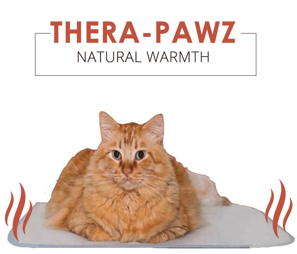 The Green Pet Shop - Wholesale Pet Mat - Dog - Thera-Pawz Warming Pad4