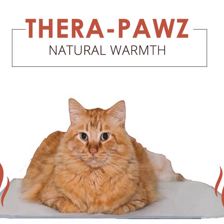 The Green Pet Shop - Wholesale Pet mat – Dog - Thera-Pawz Warming Pad4