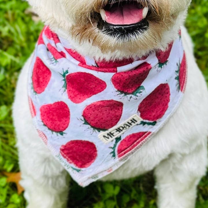 Pañuelo reversible de vacaciones para mascotas - Bandana para perro para venta al por mayor de Meerahi