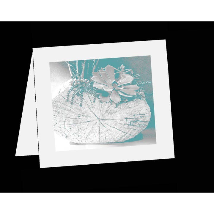 Saftiga i vas för wholesale av Line Five Studio