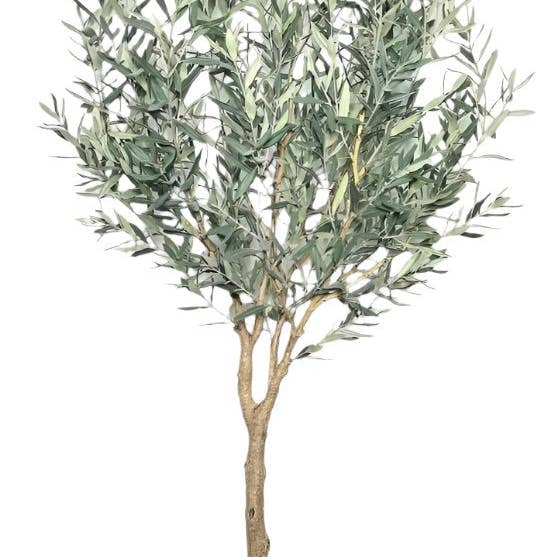Replica Plants and Decor - Wholesale Artificial Plant - 6' Olive Tree-No Olives FP14430