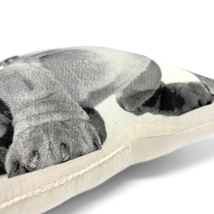 Broderpress - Wholesale Throw/Decorative Pillow - Bulldog Pillow