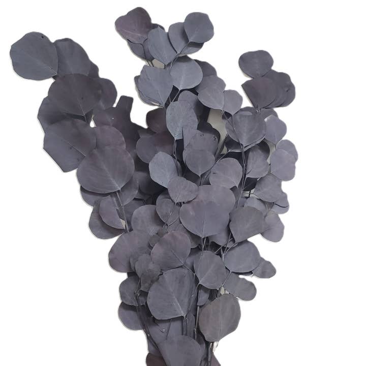 BLOOMINGFUL.COM - Wholesale Dried/Pressed Flowers - Silver Dollar Eucalyptus Preserved - Moody Purple1