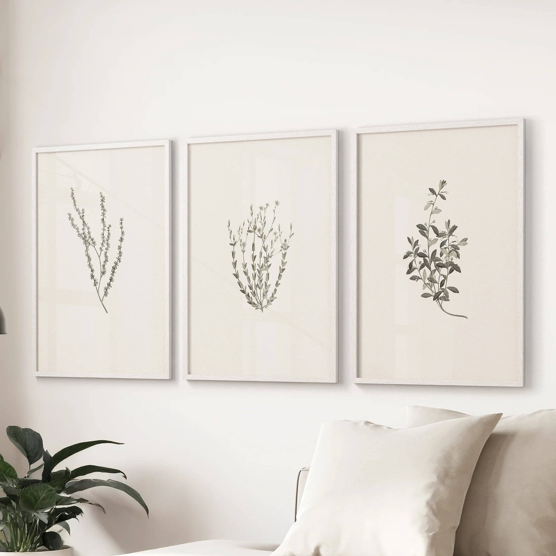 PrintSets.com - Wholesale Gallery Wall Set - Vintage Botanical 3 Piece Wall Decor. Rustic Dried Flower Prints6