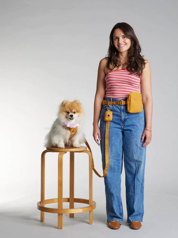 Pochette mains libres pour accessoires de promenade pour chien - Sunburnt Orange pour la vente par Lulu's from Cali