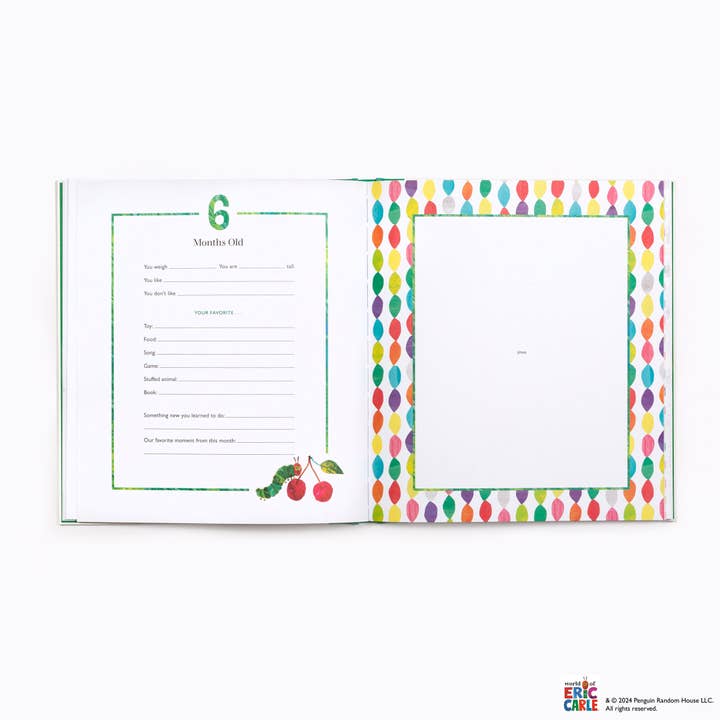 Penguin Random House LLC - Wholesale Book - Kids - The Very Special Baby Book