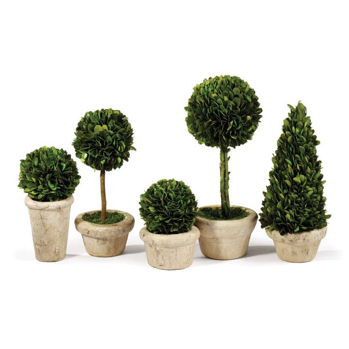 Napa Home & Garden - Vente Plantes artificielles - Topiaries en boite de buis, lot de 5