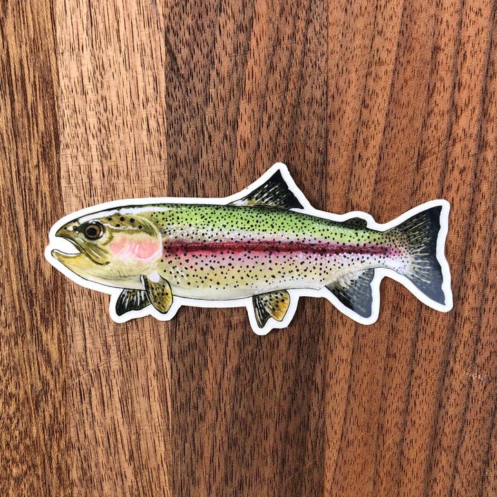Rainbow Trout sticker for wholesale by YubaCat Designs