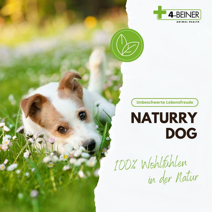 Kauartikel.com GmbH - Wholesale Pet Supplement - Dog - 4-legged Naturry Dog 80g1
