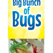 INSECT LORE - Wholesale Toy Set - Kids - Big Bunch of Bugs