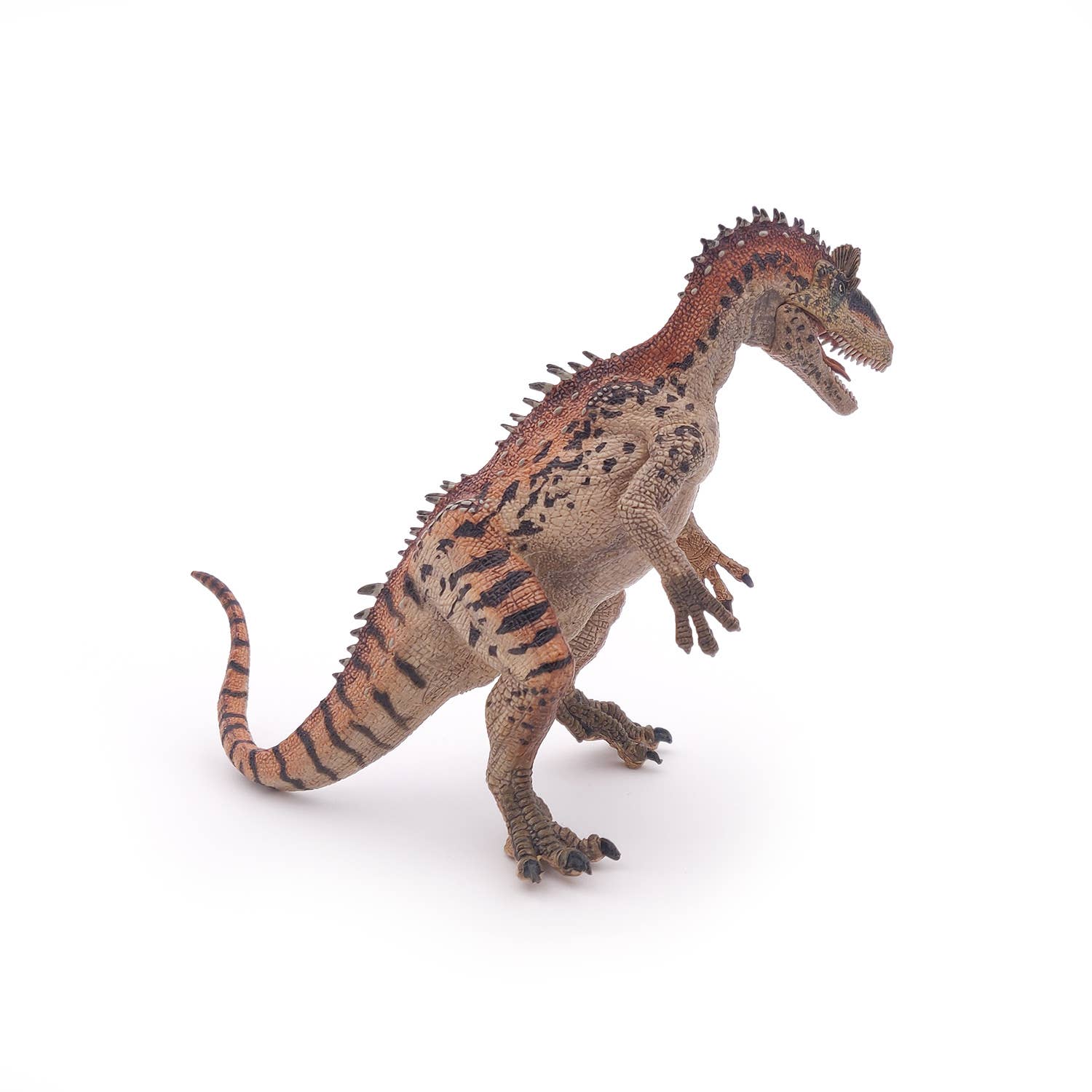Papo - Wholesale Figurine Toy - Kids - Cryolophosaurus5