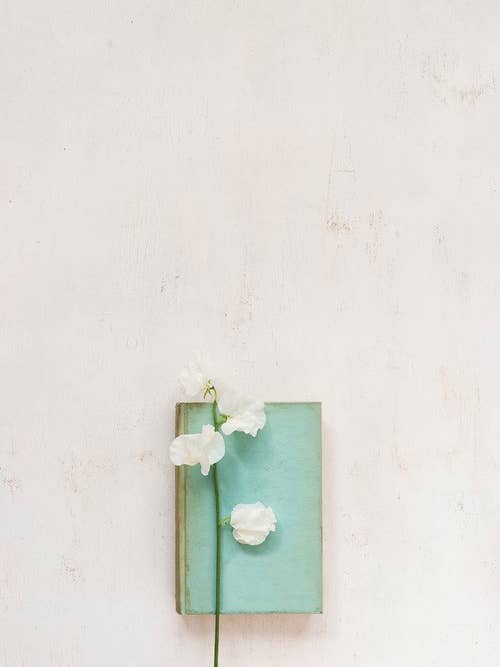 'Simply Put' Fine Art Photography Print for wholesale by White Hill Home