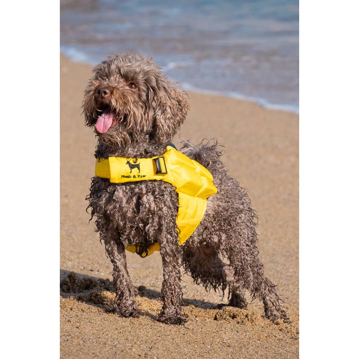 NOAH AND PAW LLC – Großhandel Haustierjacke – Hund – Human Standards Hundeschwimmweste mit 4-facher Schaumpolsterung für maximale Auftriebskraft – Gelb5