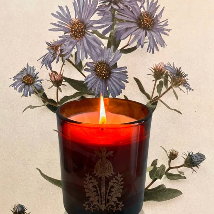 The Quiet Botanist - Wholesale Jar/Filled Candle - In The Weeds Candle