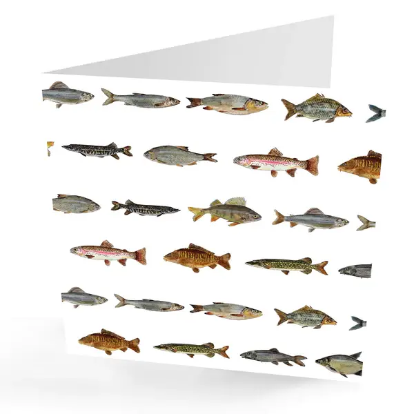 presentingperfection – wholesale Everyday greeting card – Any Occasion Hand Painted Fishing Card0