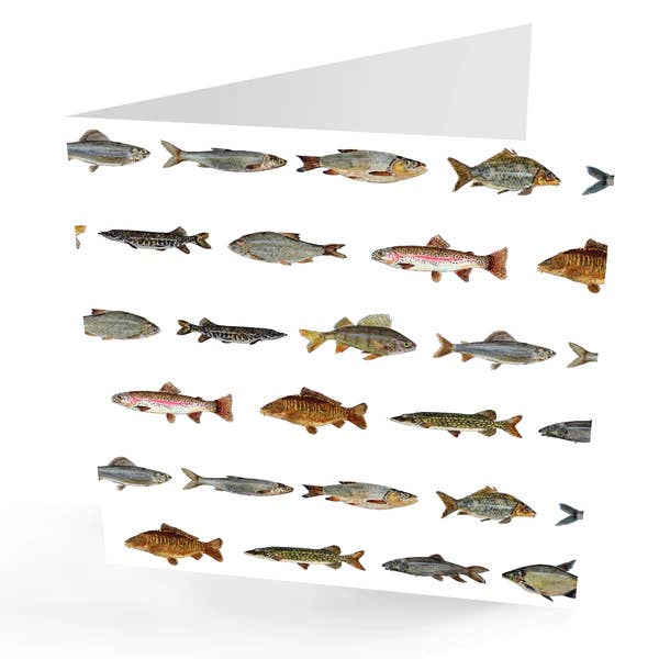 presentingperfection – wholesale Everyday greeting card – Any Occasion Hand Painted Fishing Card