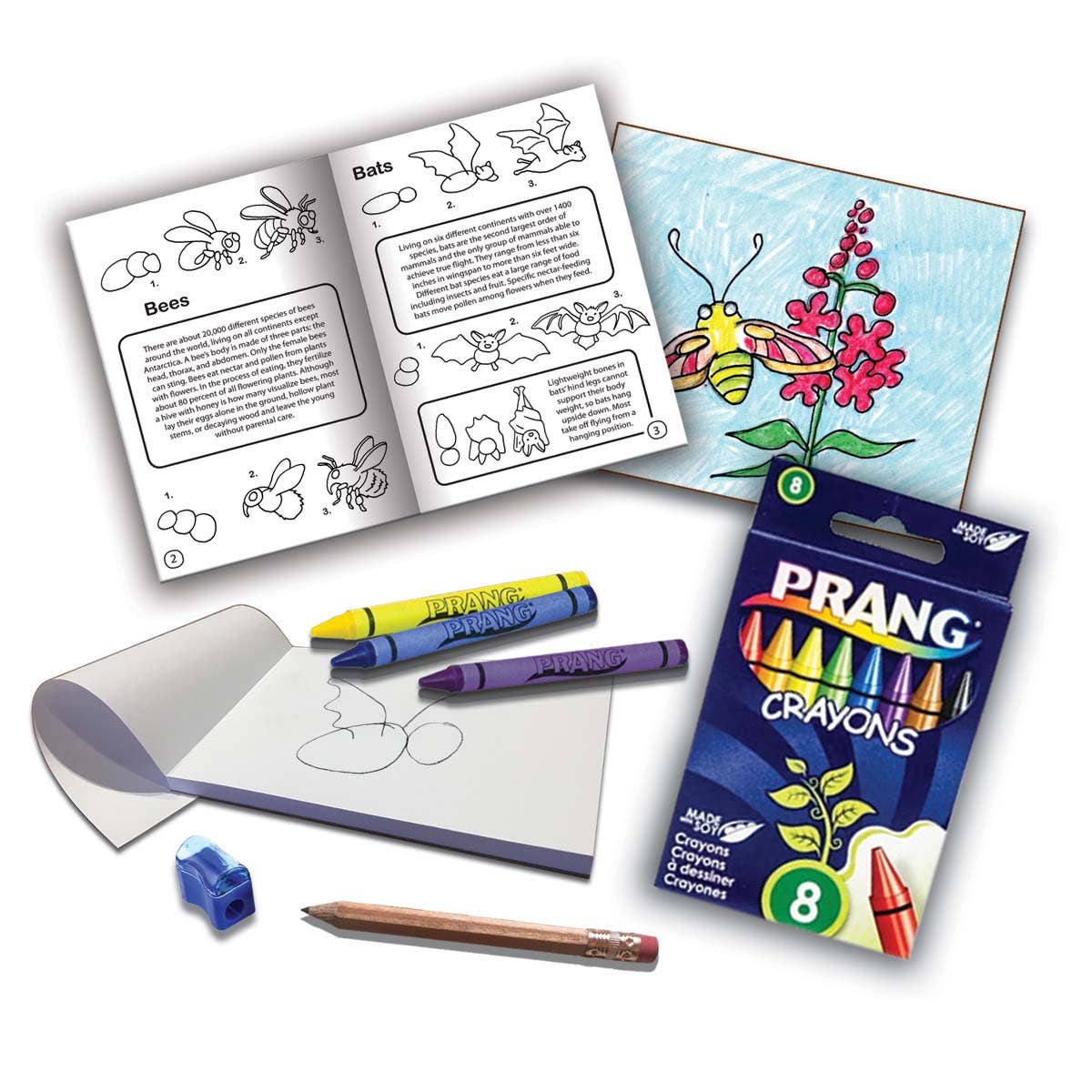 Jr. RangerLand – wholesale Art set – Child & baby – How to Draw Pollinators and Plants Art Kit4
