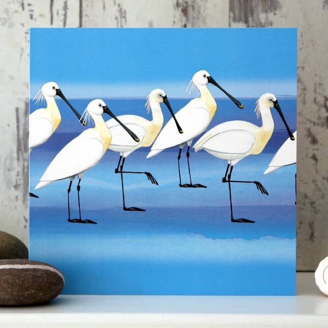 Lepelaars Kustvogel Wenskaart voor wholesale door Joanne Wishart