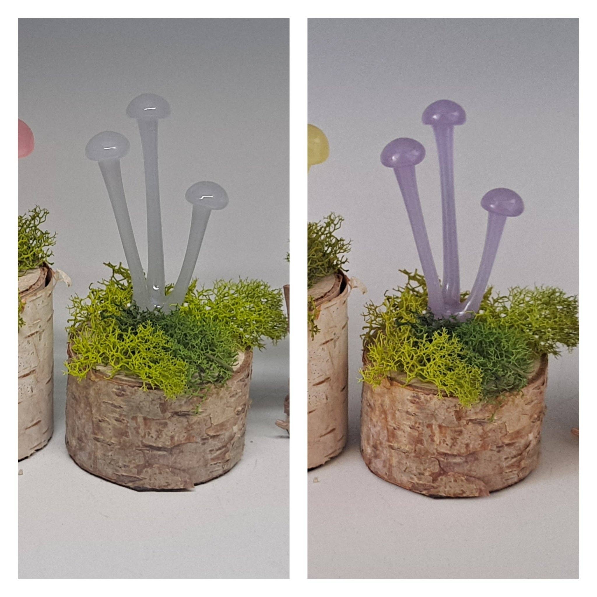 Sunshine Glass Gifts - Wholesale Sculpture - Mushroom Sculpture, Color Changing Mushroom Collection10