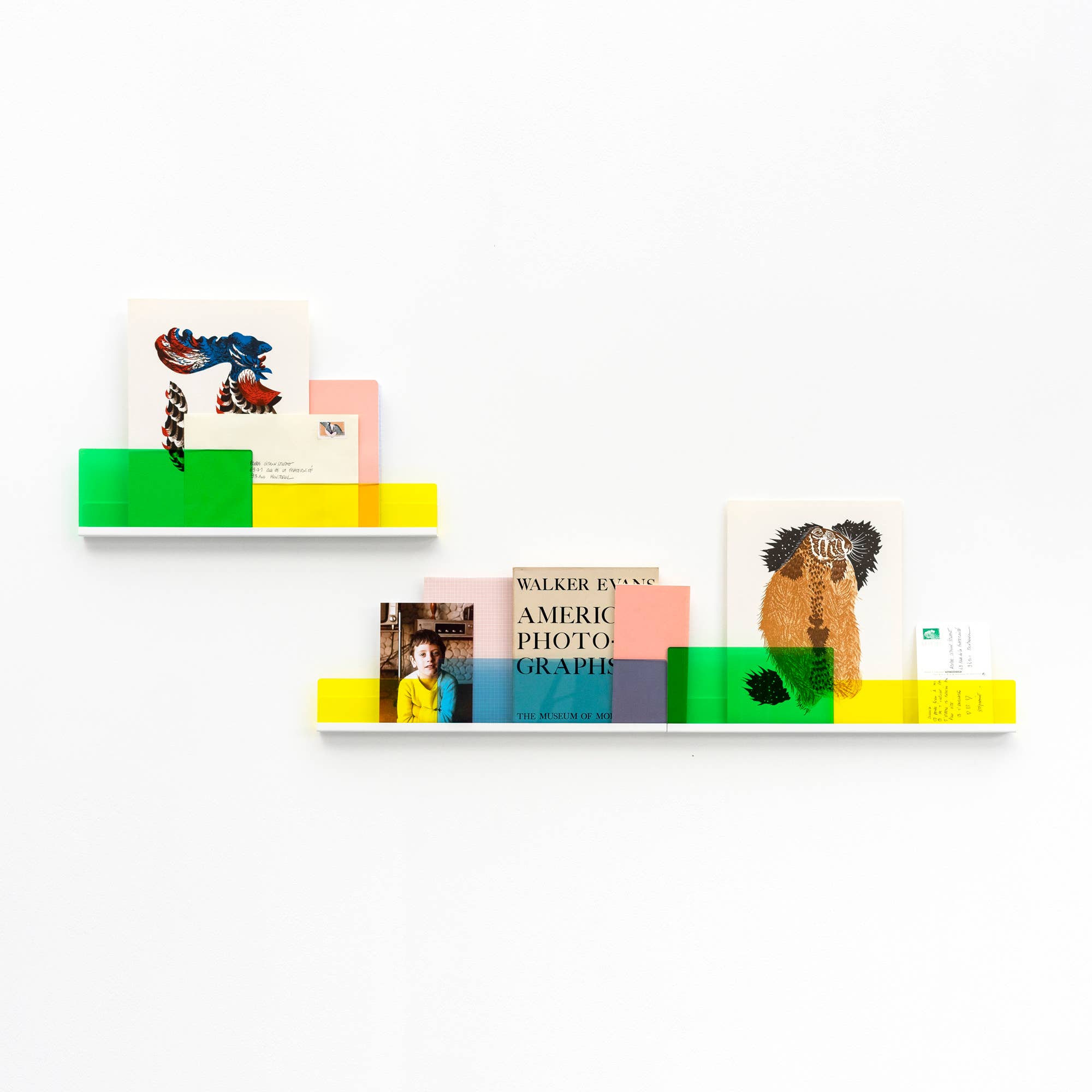 REMOVED BRAND - Vendita all'ingrosso Mensole da parete - CONFEZIONE DA 2 Shelf-Cimaises BLETTE blu e verde10