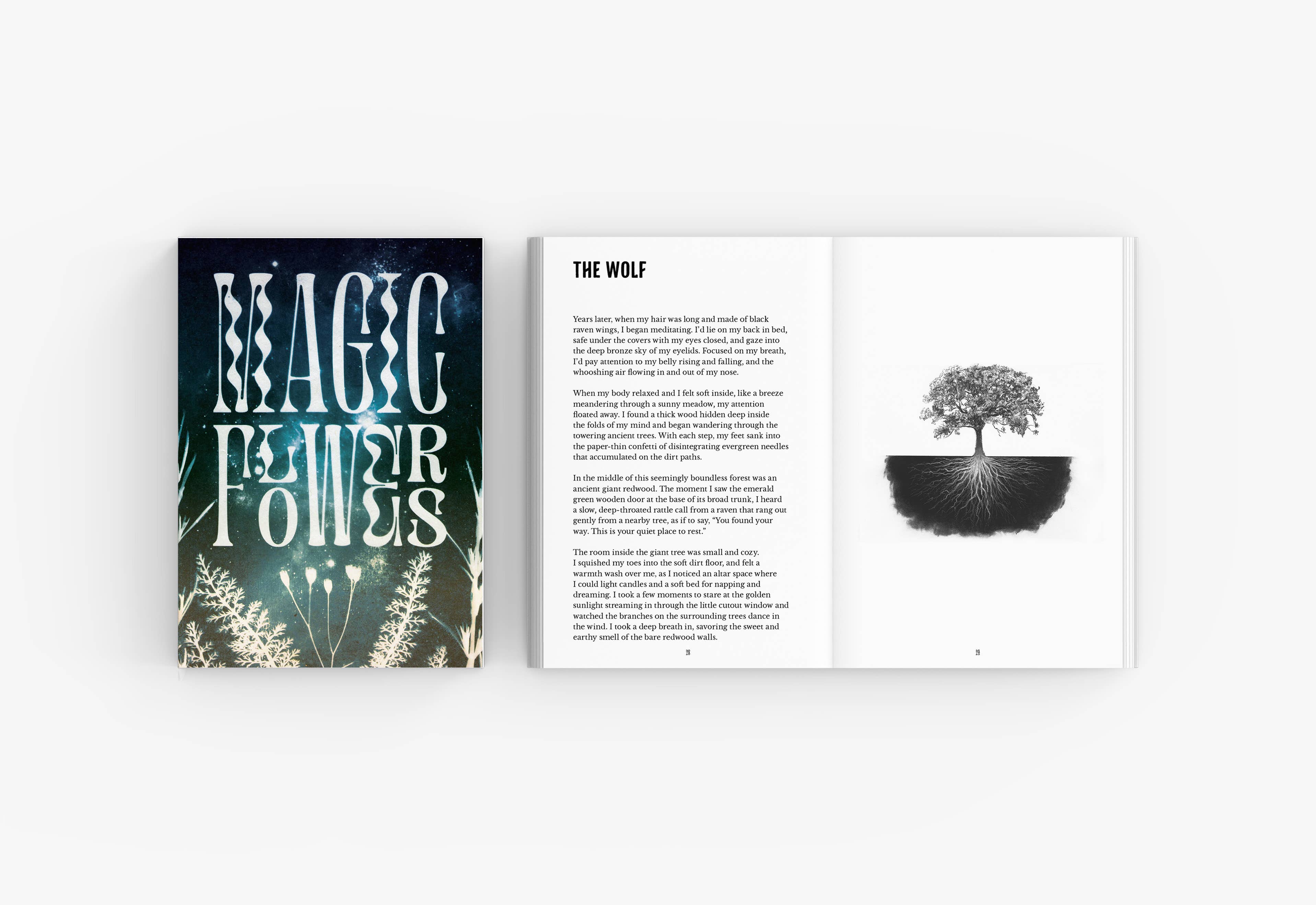 Velvetback - Wholesale Body, Mind & Spirit - Magic Flowers - Softcover Full Color Book and Bookmark6