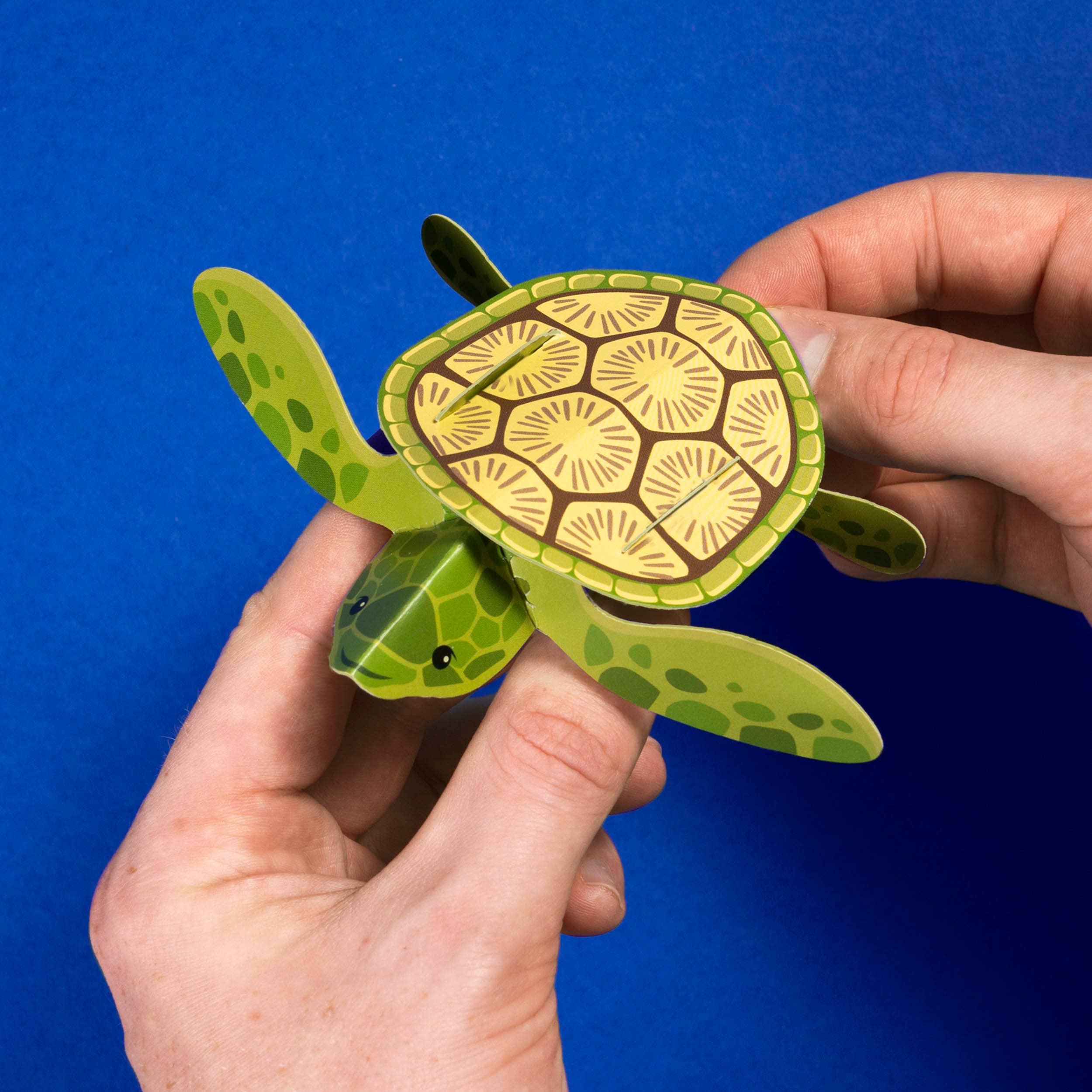 Clockwork Soldier - UK - Wholesale DIY Craft Kit - Create Your Own Tiny Turtle2
