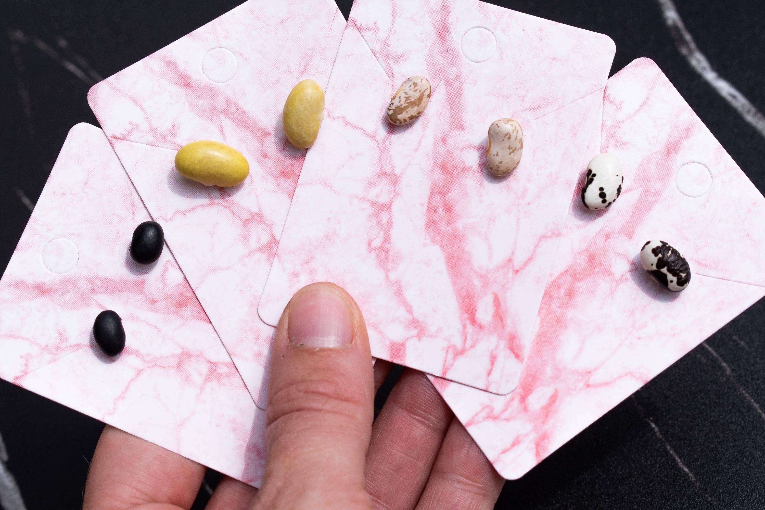 Shutterhaus – wholesale Hängande örhängen – Organiska torkade svarta bönor hypoallergena örhängen2