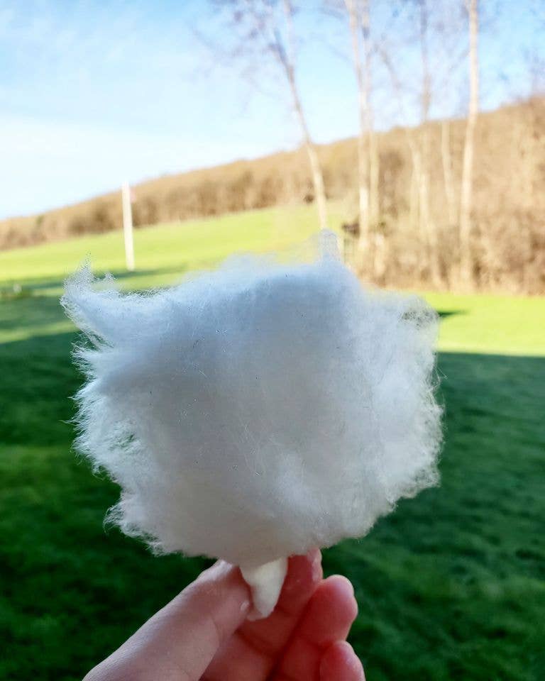 Dutch Hill Maple - Wholesale Cotton Candy - Maple Cotton - 1.5 Oz1