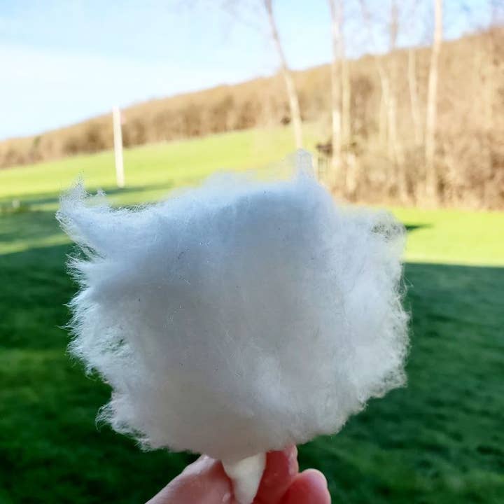 Dutch Hill Maple - Wholesale Cotton Candy - Maple Cotton - 1.5 Oz1