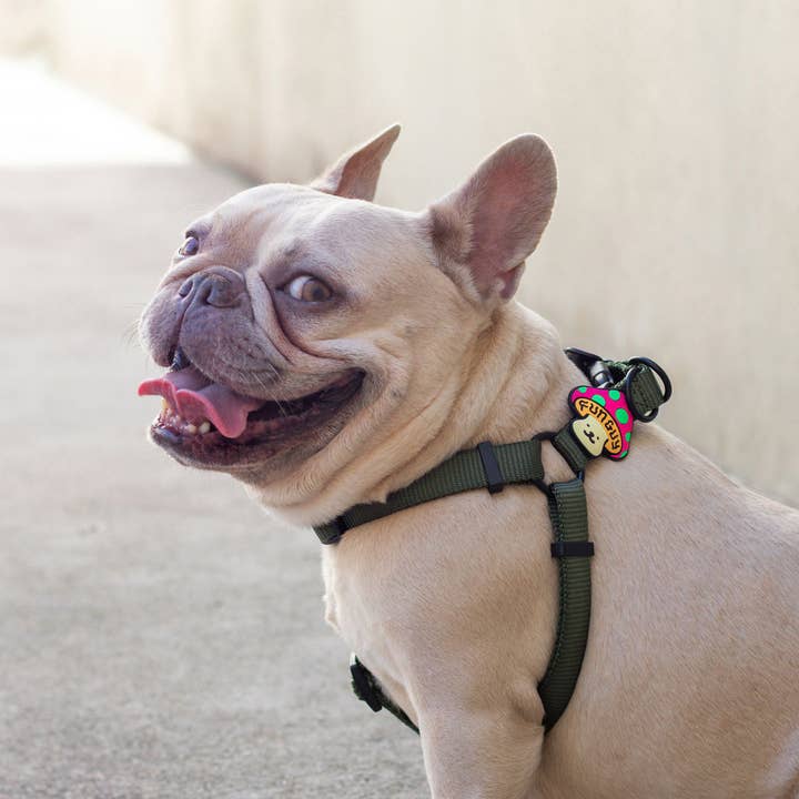 Jiby Dog Crew – wholesale Halsbandsberlock - Katt och hund – Rolig Kille Hund Jiby