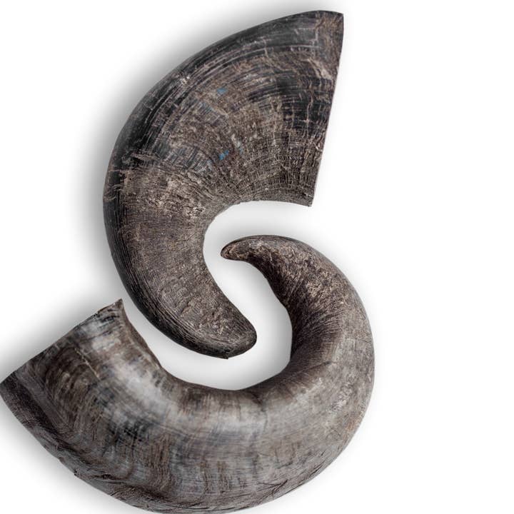 Rozie's Naturals - Wholesale Pet Treats - Dog - WATER BUFFALO HORN- 100% Natural, Dental Dog Chews & Treats7