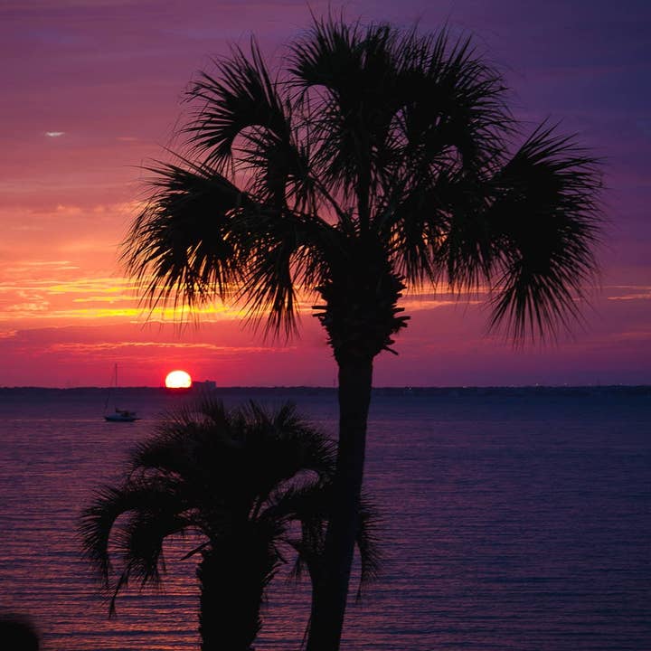 Sunset View Photography Fine Art Wanddekordruck in mehreren Größen für den Großhandel von Hope Decor