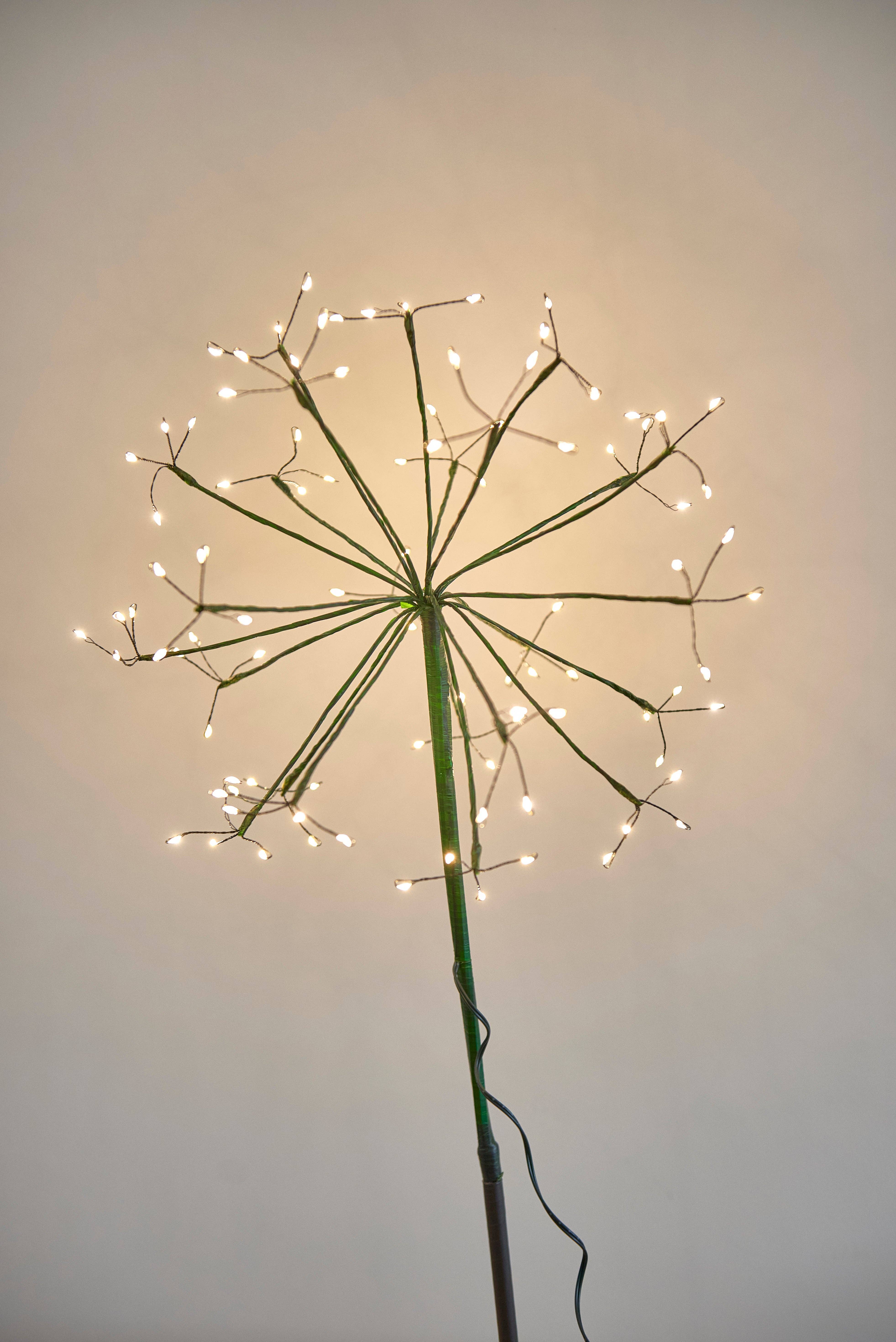 Lumina Of London Co - Wholesale Outdoor/Lawn Light - Solar Dandelion Lights - Green0