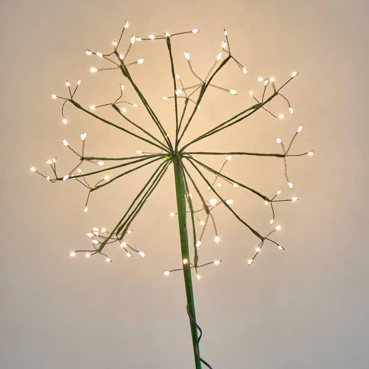Lumina Of London Co - Wholesale Outdoor/Lawn Light - Solar Dandelion Lights - Green