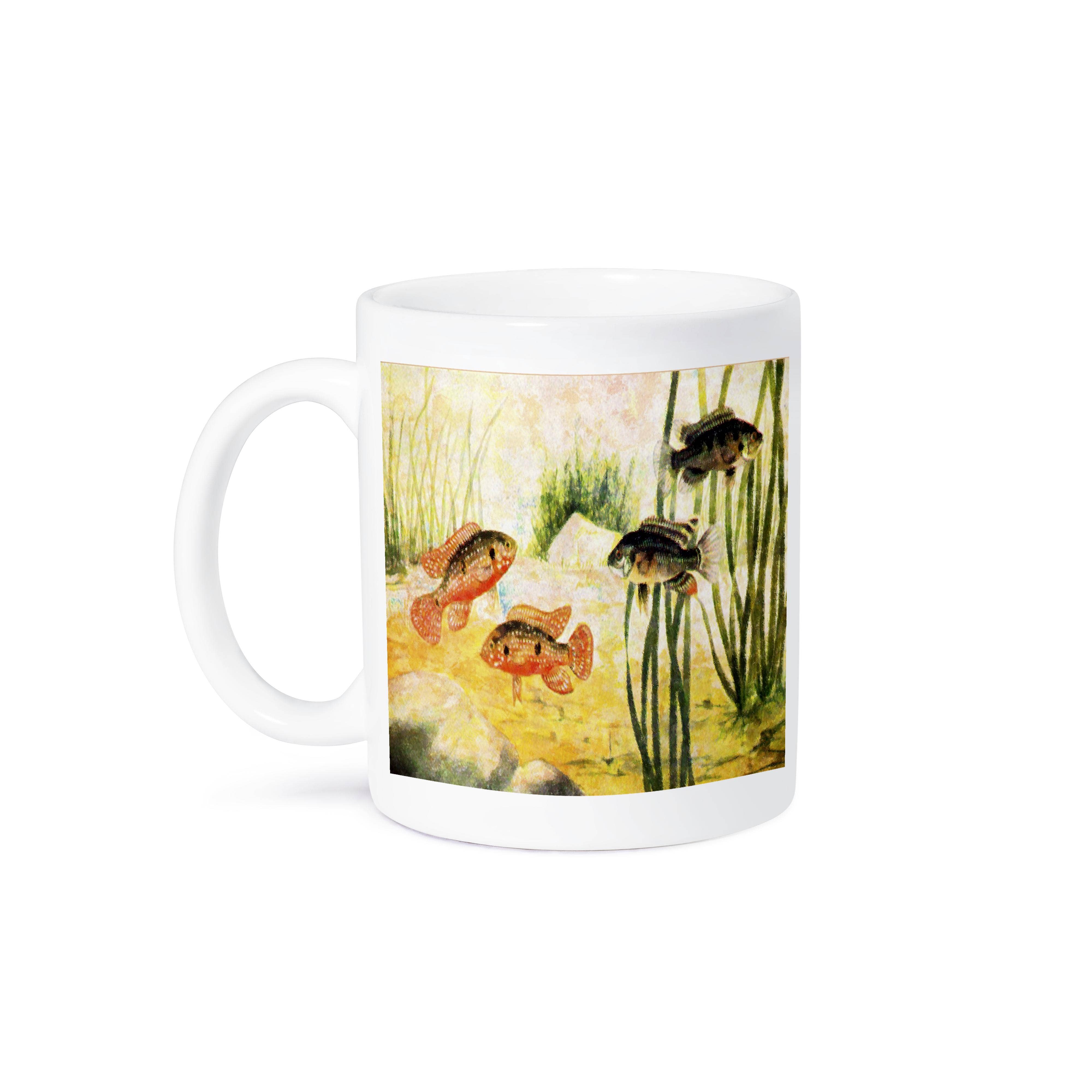 3dRose - Wholesale Coffee Mug - 3dRose, Fish In Aquarium, Mug8
