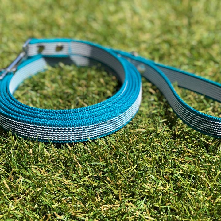 Dog Leash - Non-Slip Leash - Turquoise - Training - Tracking Line for wholesale by Four Paws Boutique