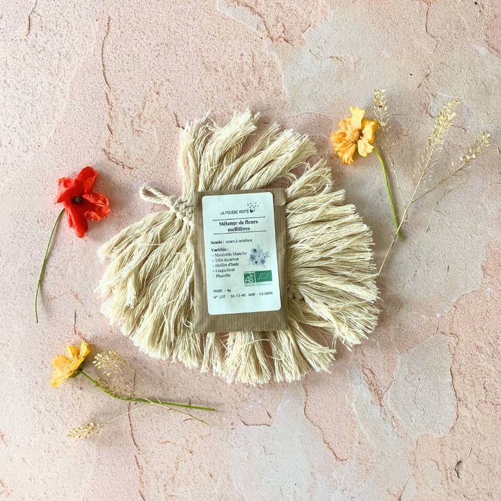 La Pousse Verte - Vendita all'ingrosso Semi di piante - Cofanetto regalo "Le bombe di semi"3