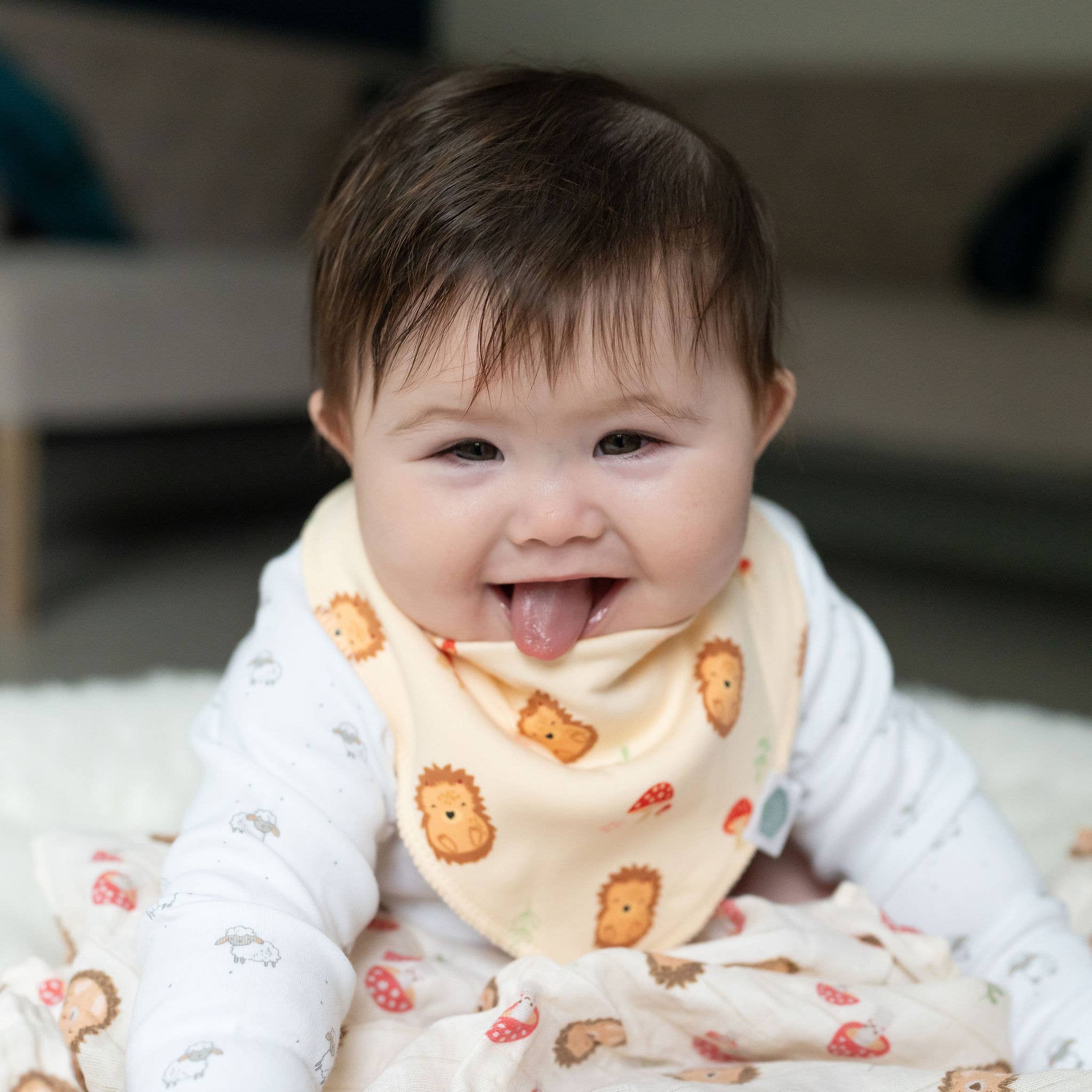 Ziggle Baby – wholesale Bib – Baby – Woodland bib set9