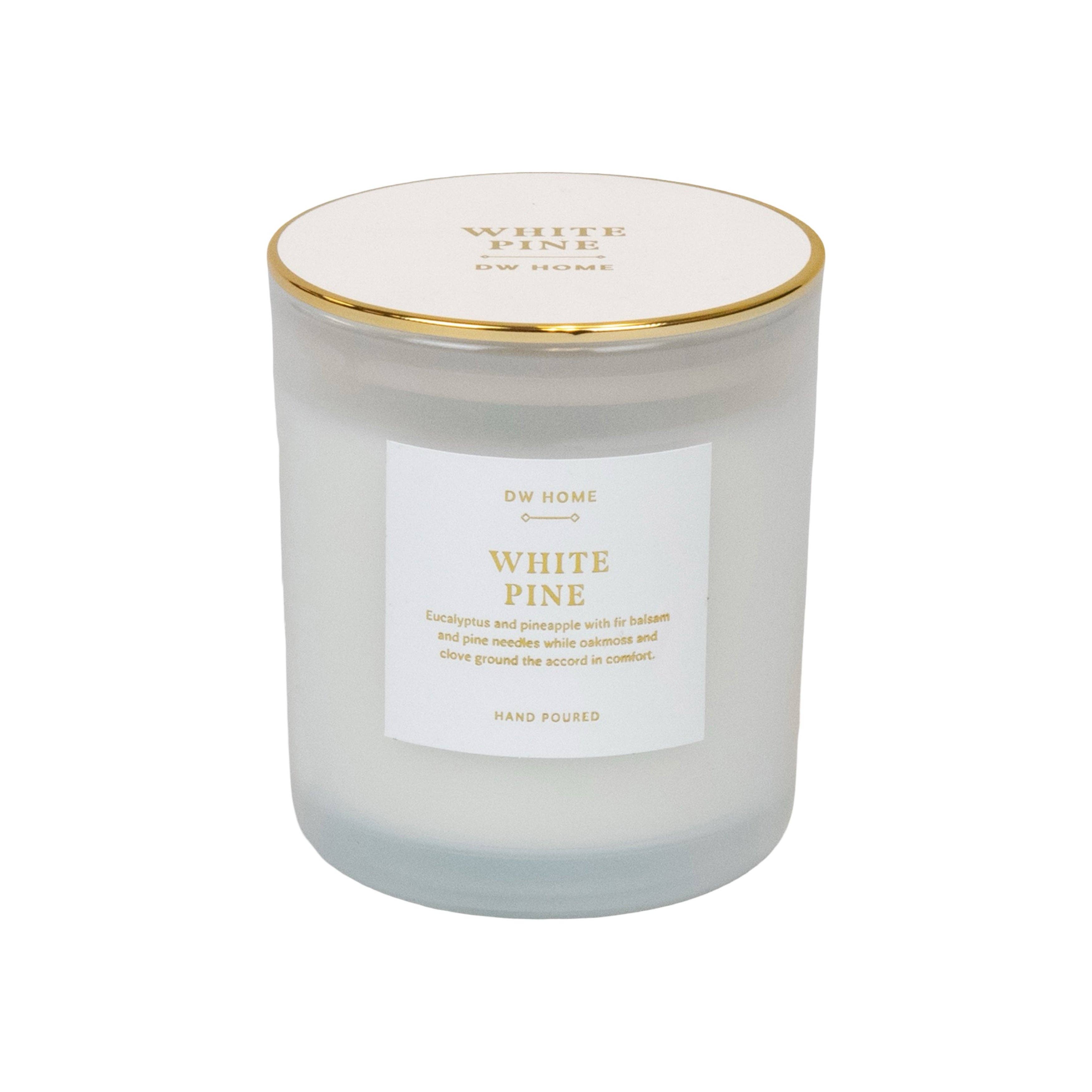 Goodies - Wholesale Jar/Filled Candle - White Pine0