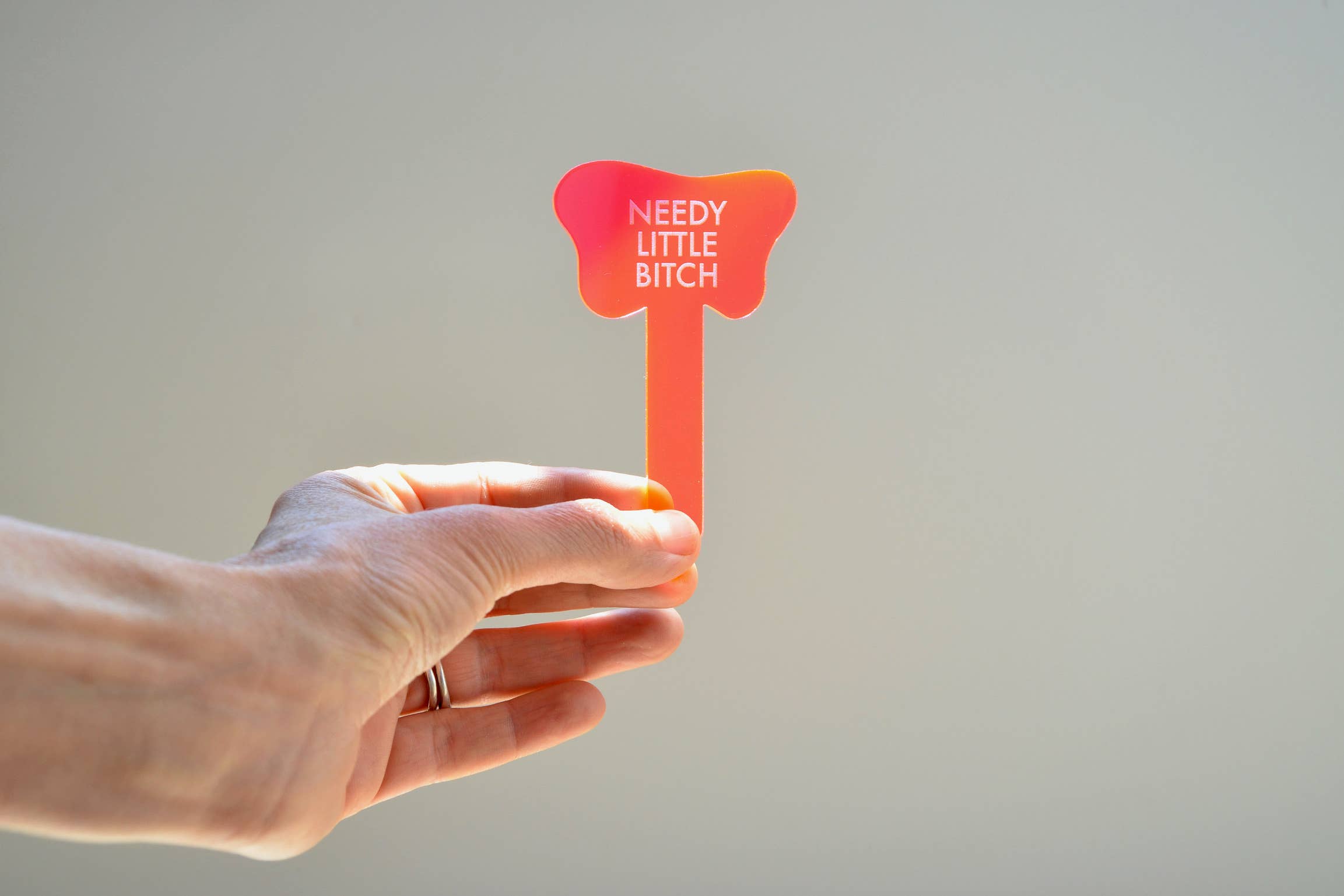 Tuff Girl Gang - Wholesale Plant Pot - NEEDY LITTLE BITCH Plant Stake9