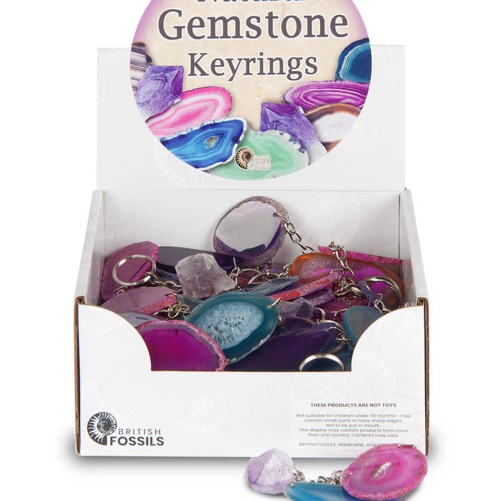 Paquete de llaveros con piedras preciosas para venta al por mayor de British Fossils