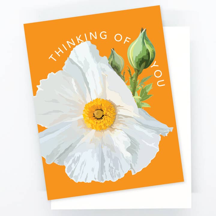 Tarjeta botánica Thinking of You de Matilija Poppy para venta al por mayor de The Red Barn Press