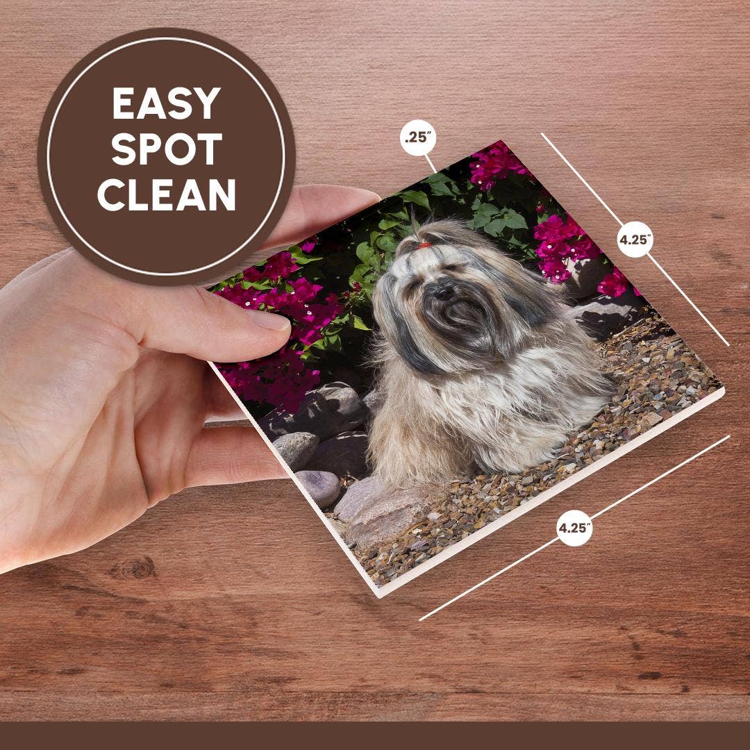 3dRose - Wholesale Coasters - 3dRose, Havanese sitting in front of flowers , Coaster6